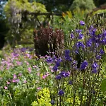 Marlfield House Relais Et Chateaux Hotel Gorey