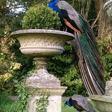 Marlfield House Relais Et Chateaux