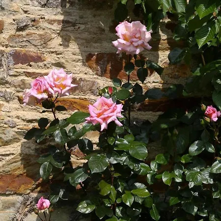 Hotel Marlfield House Relais Et Chateaux