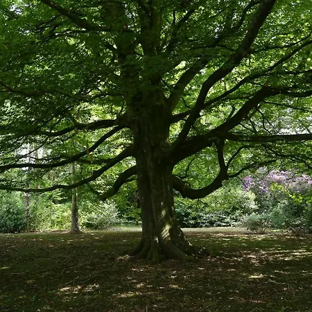 Marlfield House Relais Et Chateaux