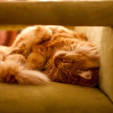 Hotel Marlfield House Relais Et Chateaux