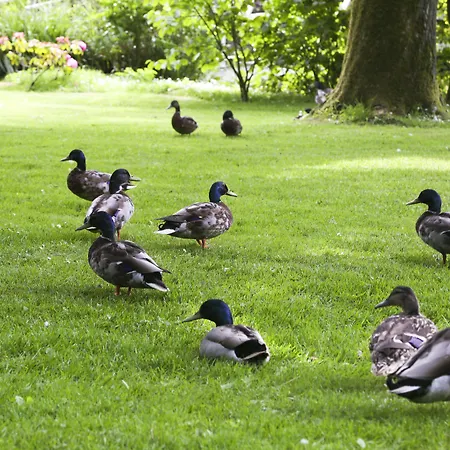 Hotel Marlfield House Relais Et Chateaux Gorey