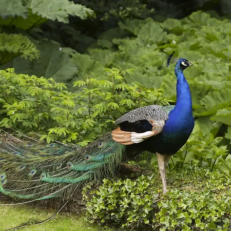 Marlfield House Relais Et Chateaux Hotel 4*