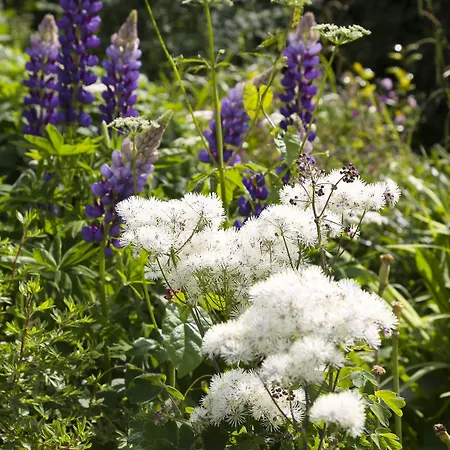 Hotel Marlfield House Relais Et Chateaux Gorey