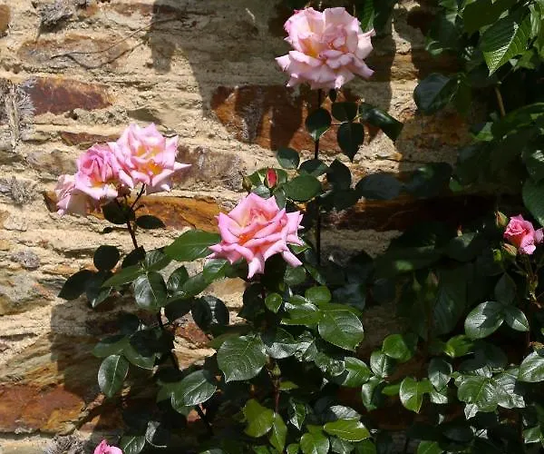 Hotel Marlfield House Relais Et Chateaux