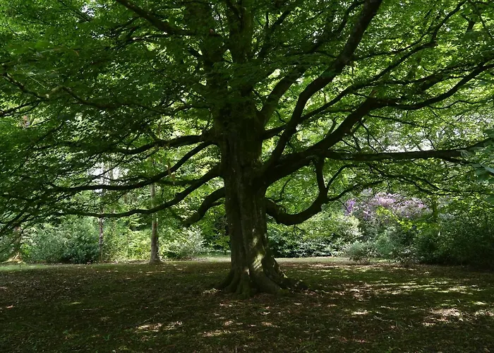 Marlfield House Relais Et Chateaux