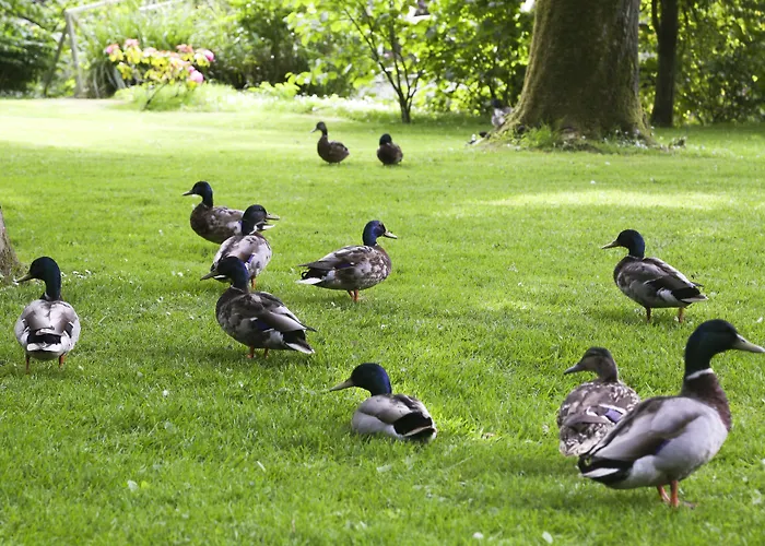Hotel Marlfield House Relais Et Chateaux Gorey