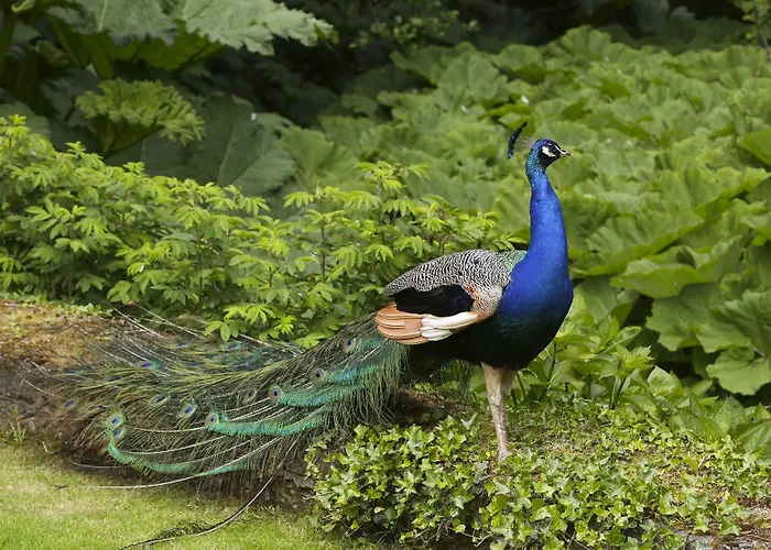 Marlfield House Relais Et Chateaux 호텔 4*