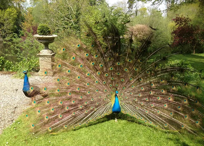 Marlfield House Relais Et Chateaux 호텔 고리