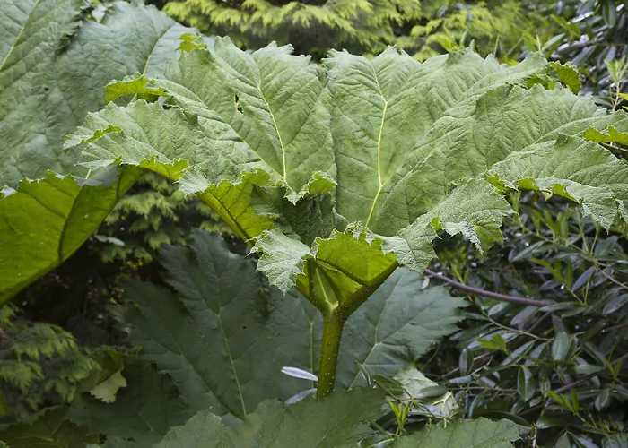 Hotel Marlfield House Relais Et Chateaux 4*