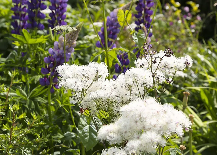 호텔 Marlfield House Relais Et Chateaux 고리