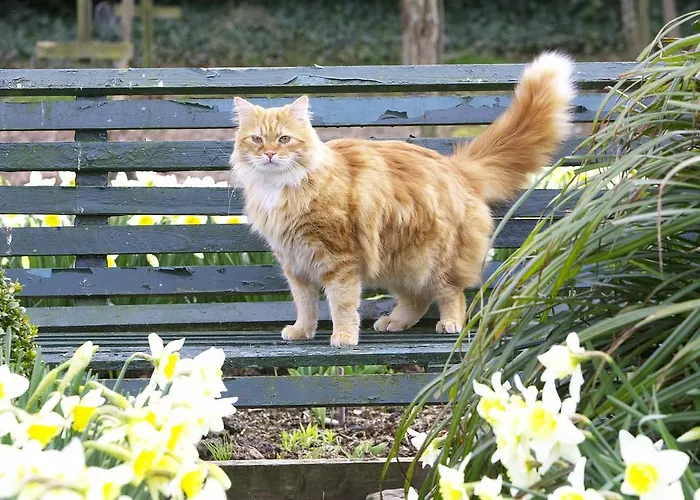 Marlfield House Relais Et Chateaux 호텔 4*