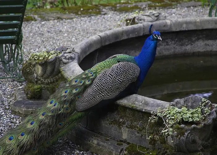 Marlfield House Relais Et Chateaux