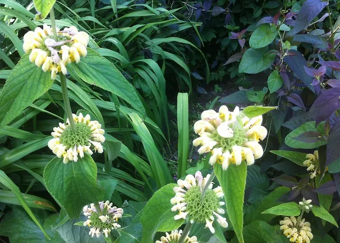 Marlfield House Relais Et Chateaux 호텔 고리